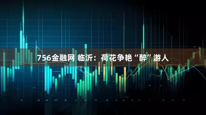 756金融网 临沂：荷花争艳“醉”游人